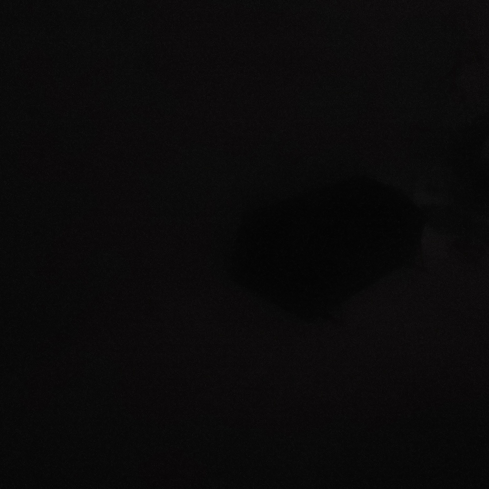 B1 - Picture 2 of 2